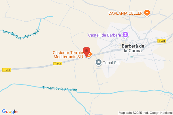Bodegas Concavins S.A.