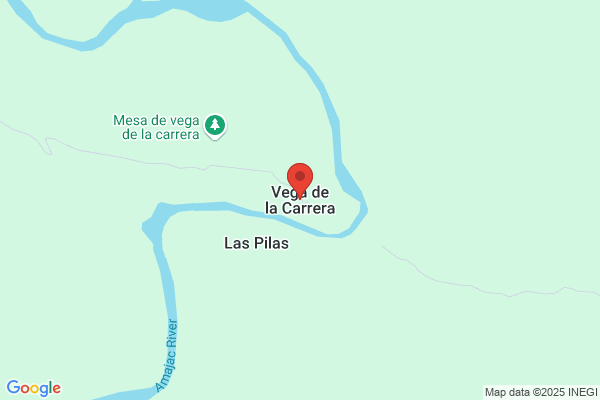 Carrera De La Vega p.