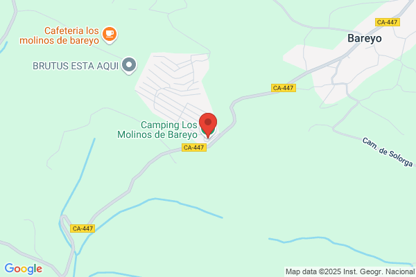 Los Molinos De Bareyo S.L.