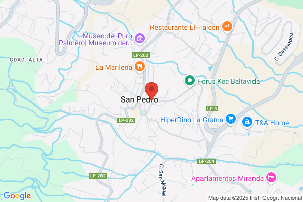 Asesoria Hernandez Concepcion S.L.