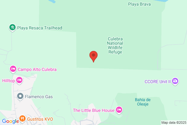 Culebra Chapin r.