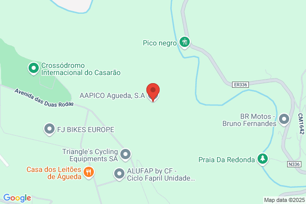 Aparicio Agueda s.