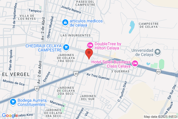 Echevarria Celaya g.