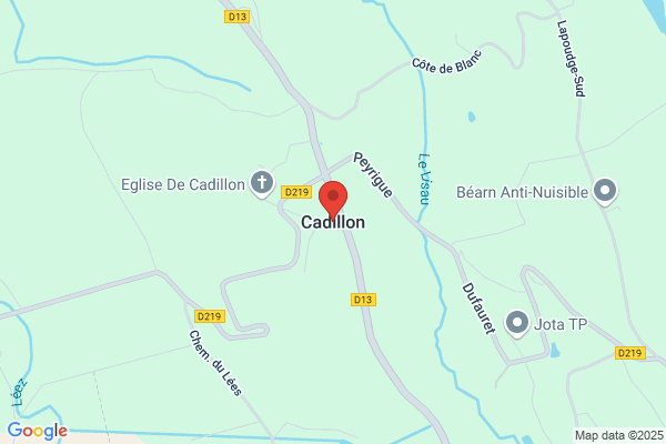 Cadillon g.
