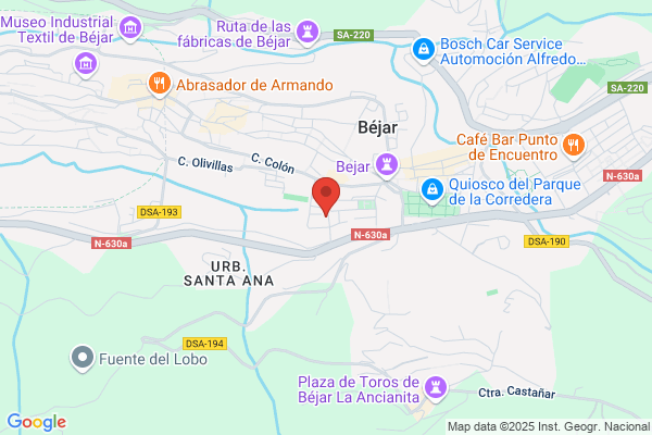 Centro Veterinario Bejarano S.L.
