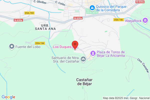 Hotel Los Duques