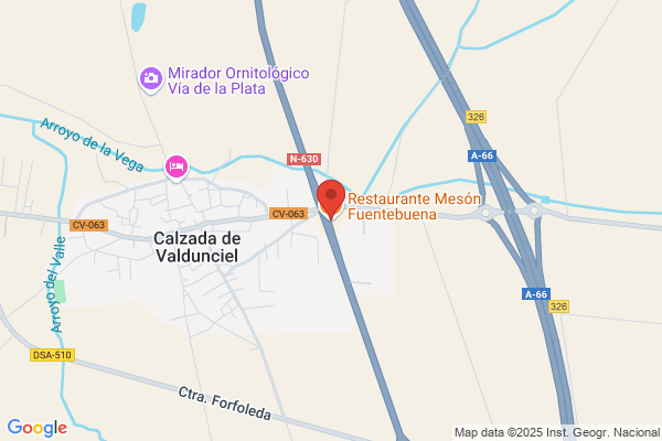 Meson Fuentebuena
