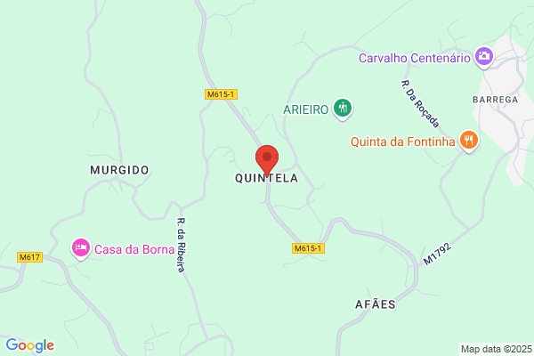 Quintela Rivera m. J.