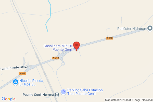 Estacion De Servicio Guada Genil