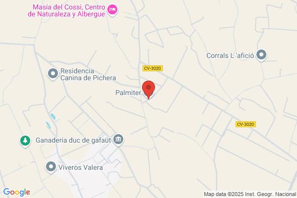 Palmagest S.L.
