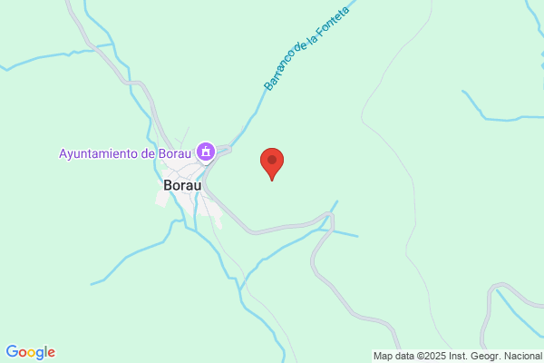 Borau Borau a.