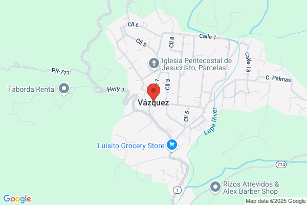 Vazquez Salinas l.