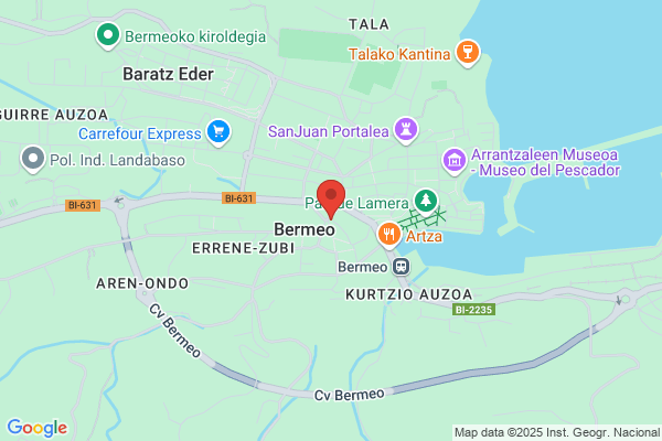 Ibarretxe Izaguirre a.