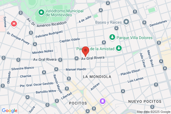 Montevideo Investment