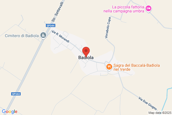 Badiola Badiola m. V.