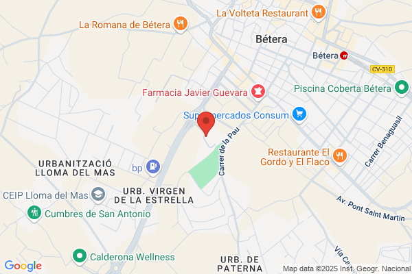 Instituto Valenciano De Microbiologia S.L.