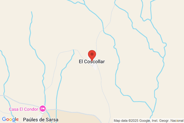 Coscollar Esteve r. D.