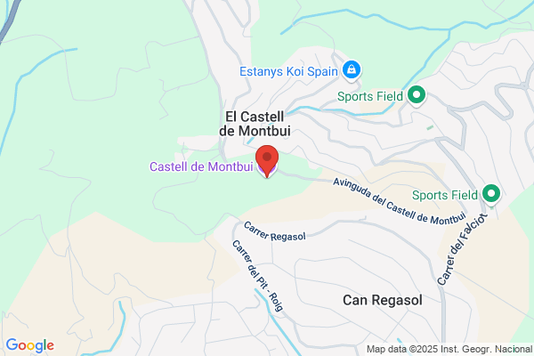 Castillo Barri a.