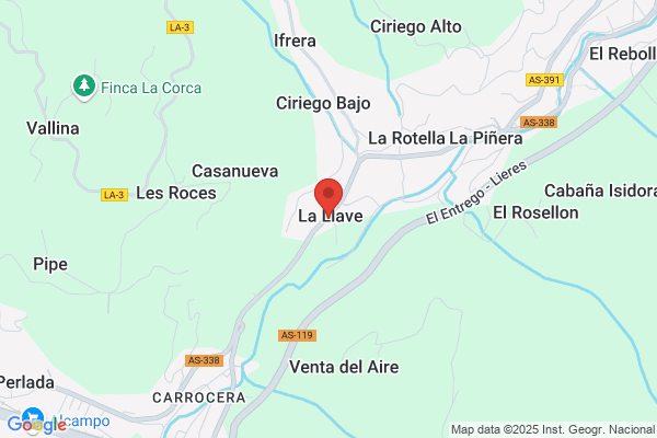 HIPNOSIS CLINICA REPARADORA EN ASTURIAS - BANDA GASTRICA VIRTUAL EN ASTURIAS - HIPNOSIS EN ASTURIAS