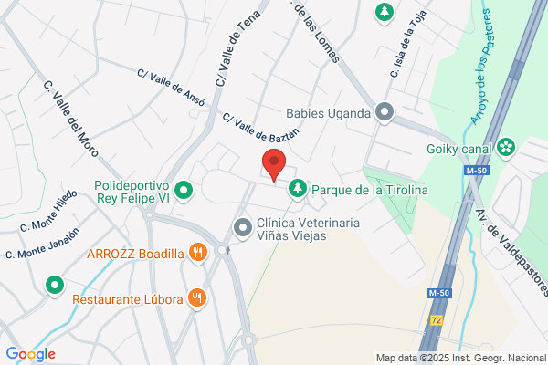 Echarri Y Brindle Servicios Corporativos S.L.
