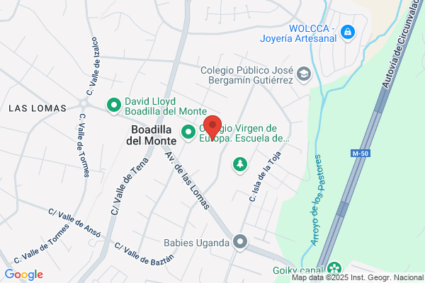 Colegio Virgen De Europa S. L.