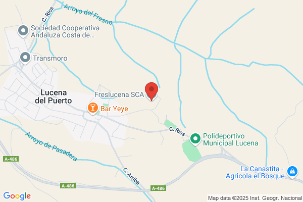 Academus Lucena S.L.