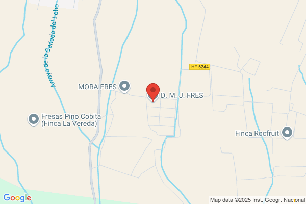 D.M.J.Fres S.L.