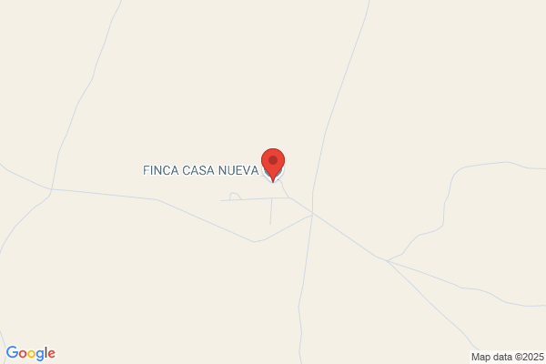 Casa Nueva Del Carrascal S.A.
