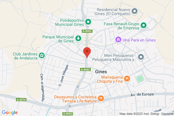 Gines Consulting S.L.