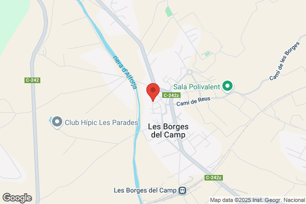 Ajuntament De Les Borges Del Camp