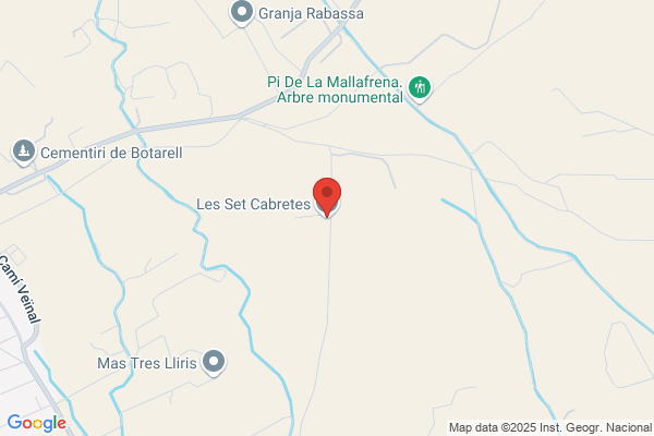 Bono Cabre c.