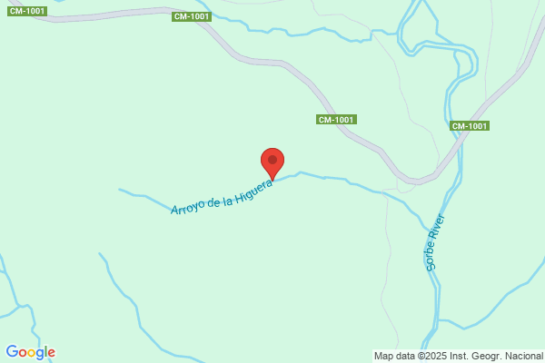 Higuera Arroyo f.
