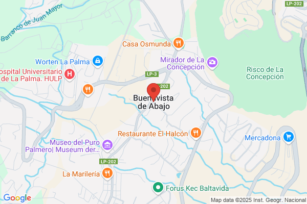 Los Morales De Buenavista s. L.