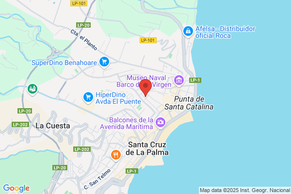 S.A.T. LA PALMA