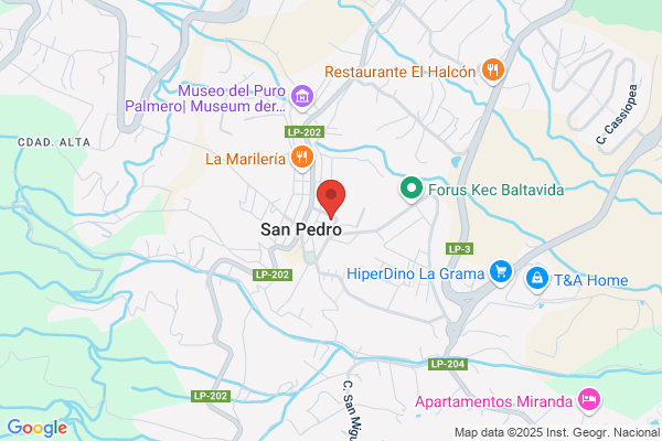 Fisioterapia Atlas