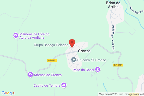 Grupo Bacoga Galicia S.L.