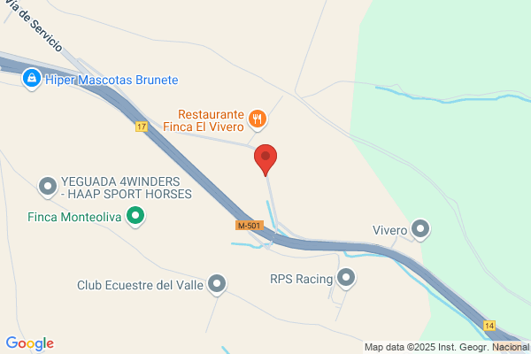 Hormigón Impreso Pavidaniel