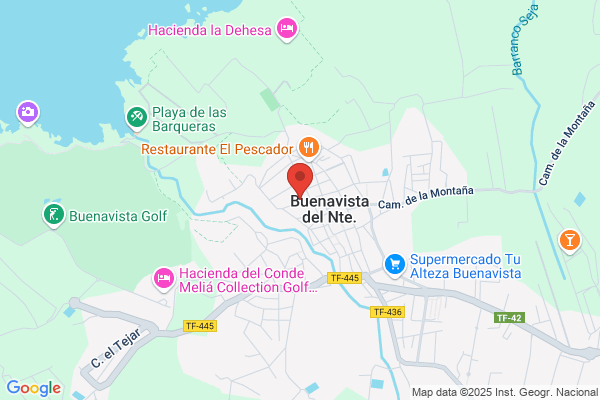 Buenavista Flor S.L.