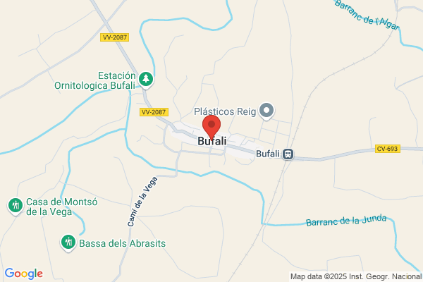 Borrull Tormo j.