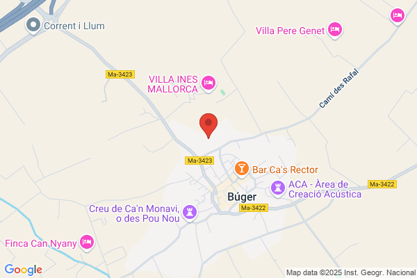 Tecnireparauto Buger S.L.