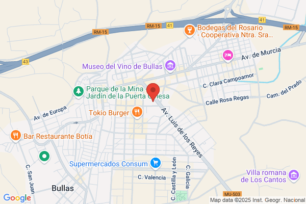 Colegio Publico Artero