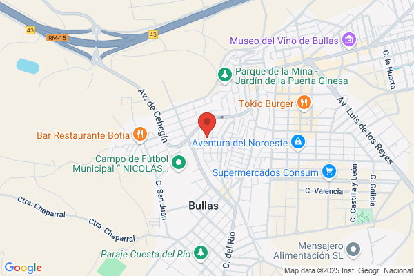 Toledo Salmeron j.