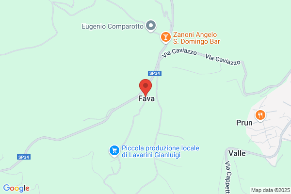 Fava Gonzalez c.