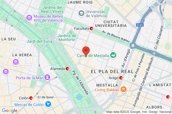 Psicólogos Valencia- Rosa Pérez Vieites