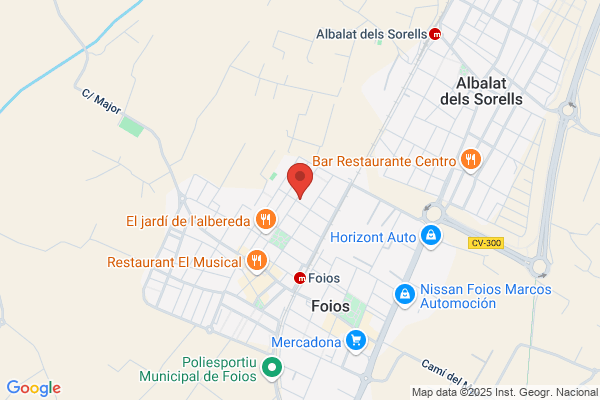 Levantina De Servicios Caremar S.L.