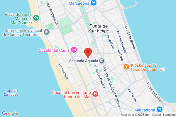 Asador De Pollos Y Freiduria 501 - servicio a Domicilio