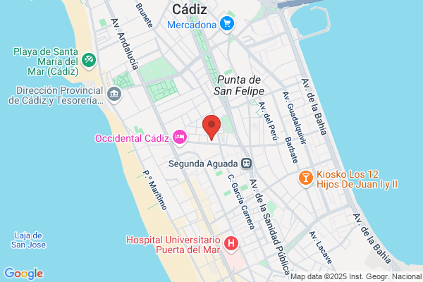 Academia Caledonian Idiomas - Profesores Nativos