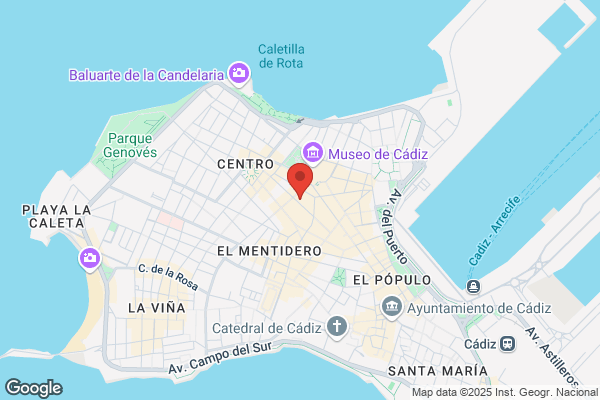 Instituto Para El Fomento Y La Enseñanza del idioma ingles s.L.