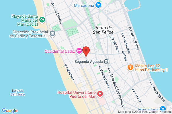 Ilustre Colegio De Procuradores De Cadiz