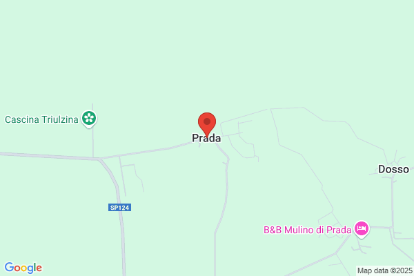 Prada Alcina j.